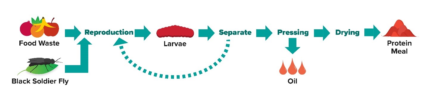 our process image