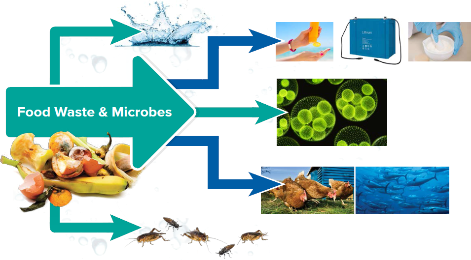 our process image